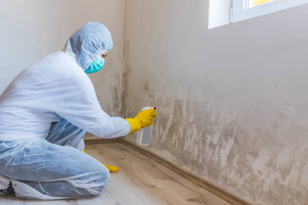 Licensed Commercial Mold Remediation service in Greenbelt, MD - WQB Mold Removal