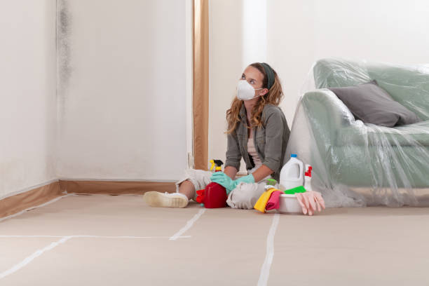 Reliable Commercial Mold Remediation contractor in Greenbelt, MD by WQB Mold Removal