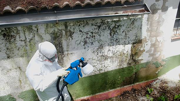 Top rated local Commercial Mold Remediation specialists in Greenbelt, MD